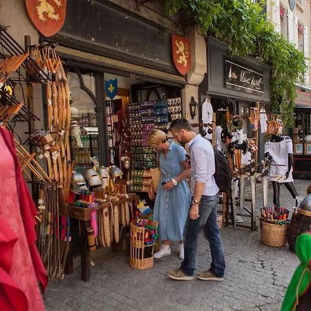 Confort ! Calme, Climatisation, Parking Gratuit, Grande Terrasse, Ascenseur, Wifi カルカソンヌ